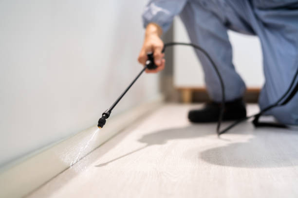 Licensed Termite Control service in Giles County County, TN - Nex Pest Control