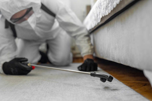 Professional Termite Control technician working in Giles County County, TN